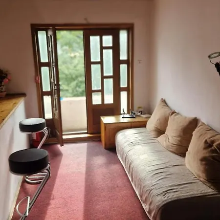Hostel Flava